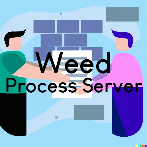 Weed, California Process Servers