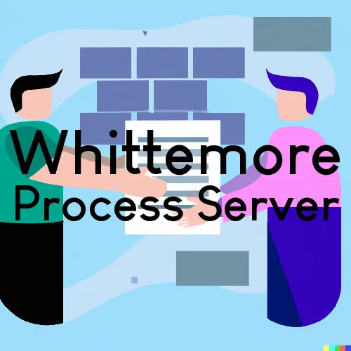 Courthouse Runner and Process Servers in Whittemore