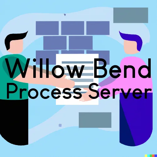 Willow Bend Process Server, “Rush and Run Process“ 