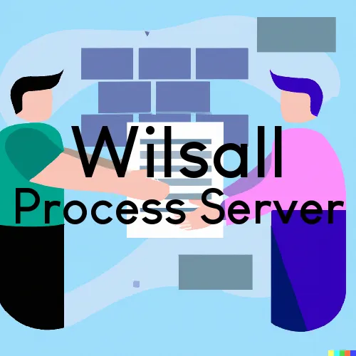 Wilsall, Montana Process Servers