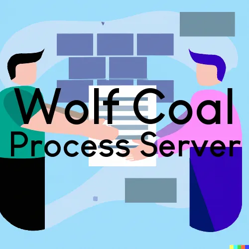 Wolf Coal, KY Process Servers in Zip Code 41339