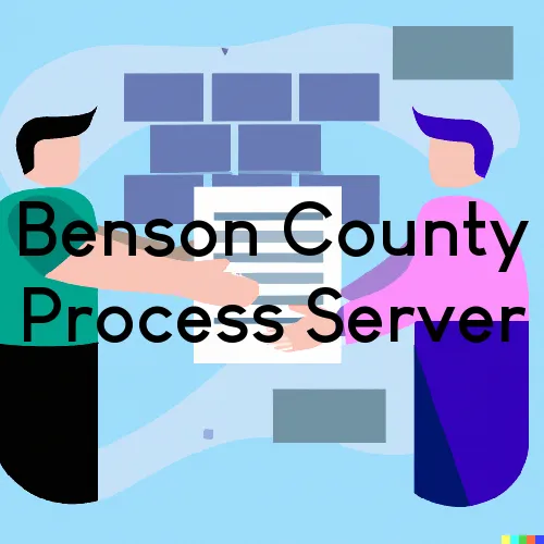 Benson County, ND Process Server, “Serving by Observing“