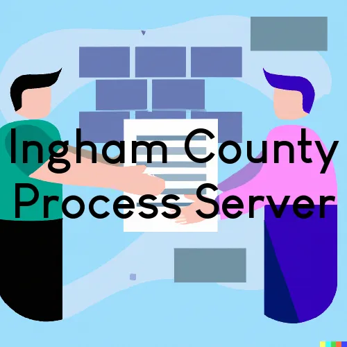 Site Map for Ingham County, Michigan Process Servers