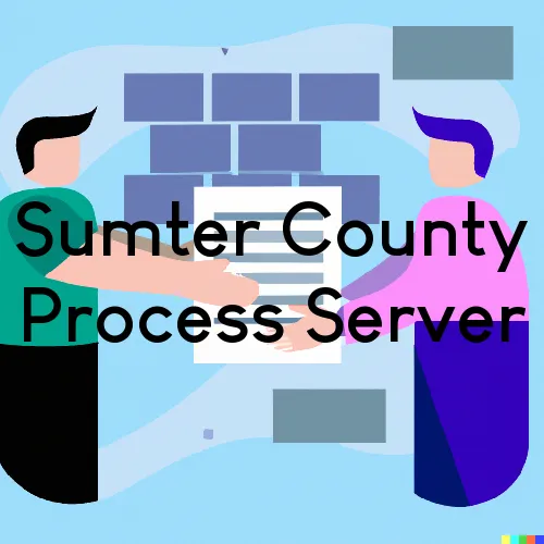 Site Map for Sumter County, Florida Process Server