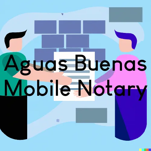 Aguas Buenas, PR Mobile Notary Signing Agents in zip code area 00703