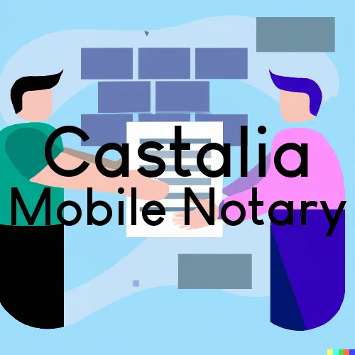Traveling Notary in Castalia, IA