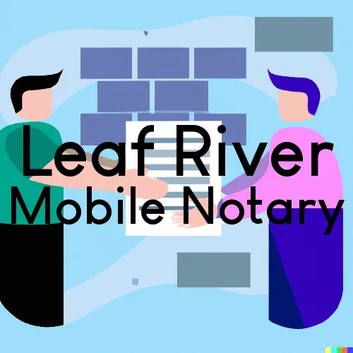 Traveling Notary in Leaf River, IL