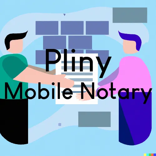Pliny, WV Traveling Notary, “U.S. LSS“ 