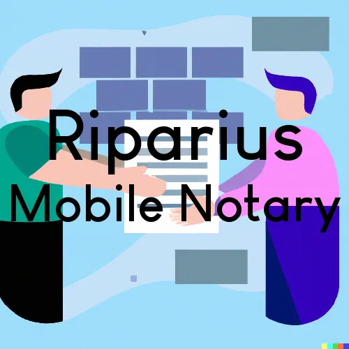 Traveling Notary in Riparius, NY