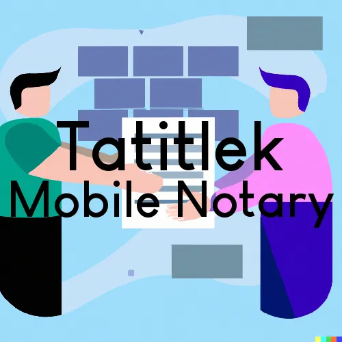 Tatitlek, AK Mobile Notary Signing Agents in zip code area 99677